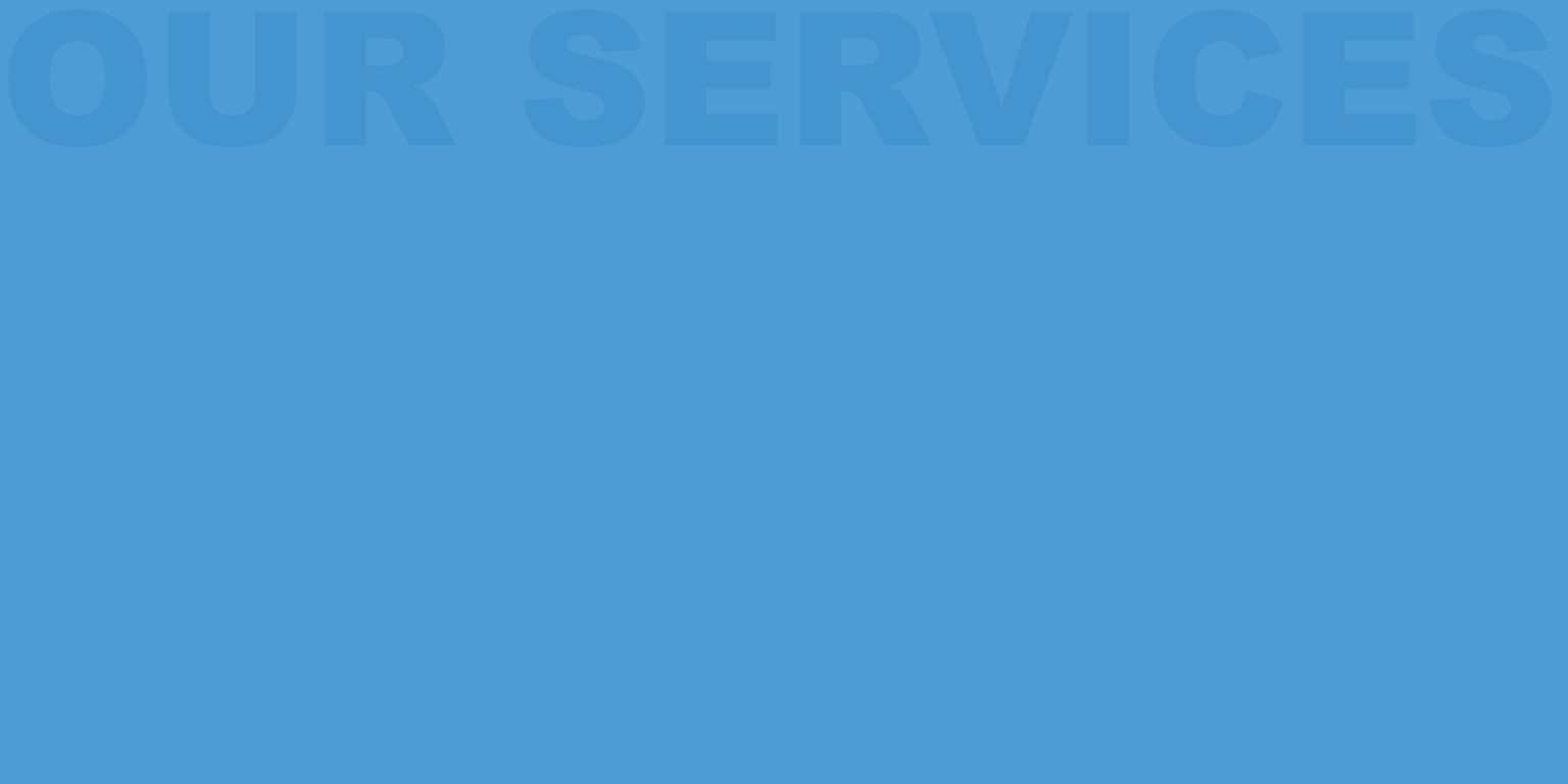 Palmetto Services Palmetto Air and Water Balance