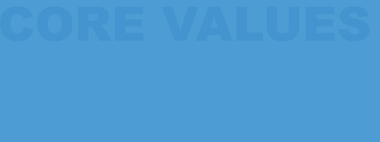 About Palmetto Air & Water Balance Palmetto Air and Water Balance